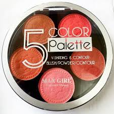 5 Color Palette V- Shading & Contour Blush / Powder/ contour